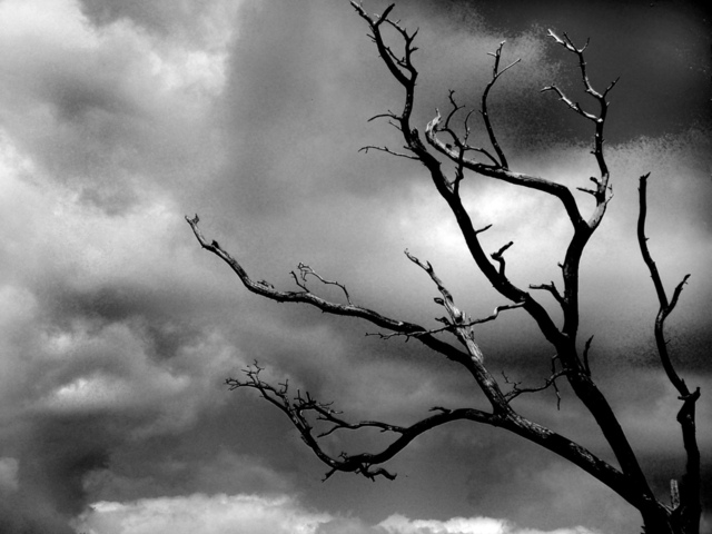 Stress Hormone: Abnormal Cortisol Levels